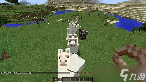 我的世界羊驼怎么走 从驯服到移动控制的完整解析截图