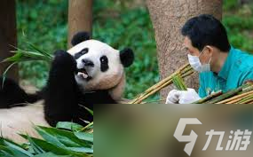 大熊猫抓取竹子的大拇指是什么