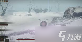 艾尔登法环冰川霸主玻列琉斯怎么玩