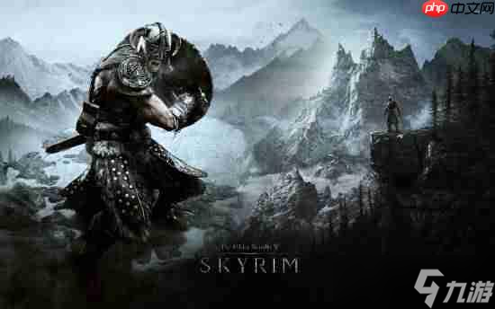 冷饭都炒糊了!《上古卷轴5》14年推出9个版本 你肯定买过