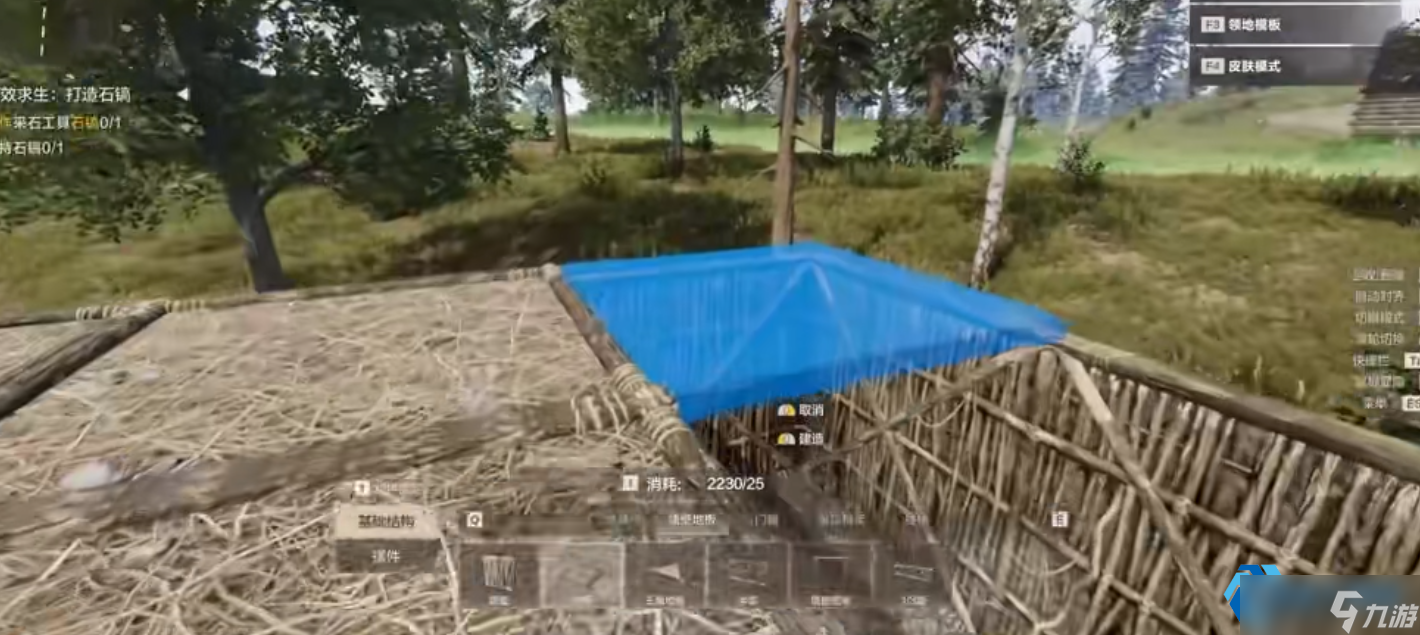 领地柜全解析:房屋建造与维护的核心指南