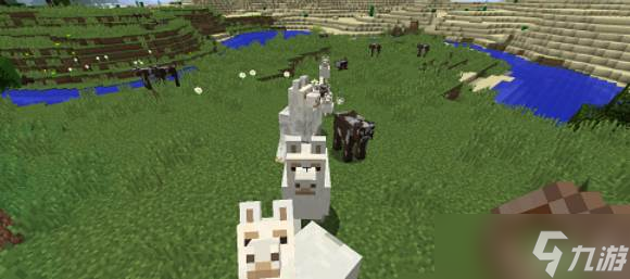 我的世界怎么骑羊驼