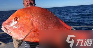 川纹笛鲷因何得名