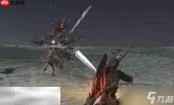 艾尔登法环黑夜降临最终boss战 怎么才能击败黑夜王布德奇冥