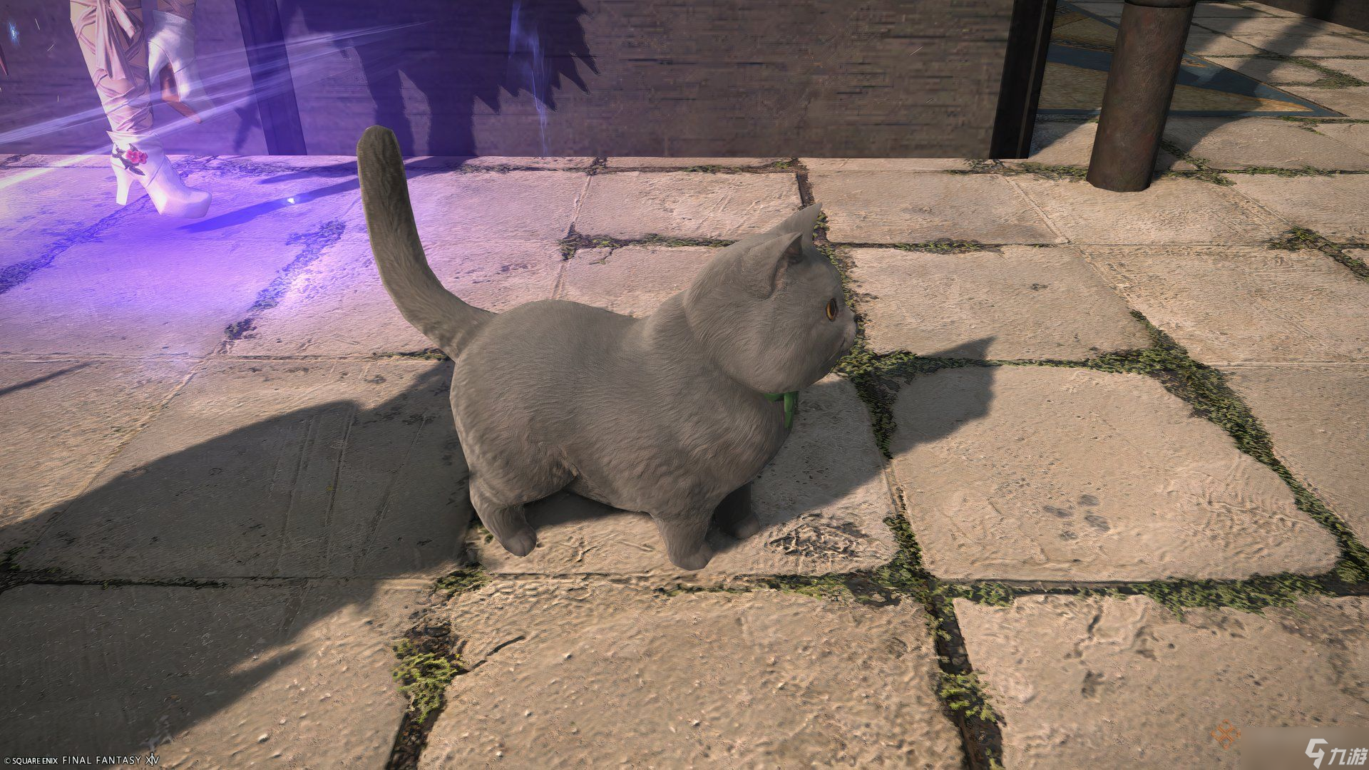 《最终幻想14》7.4版本坐骑与宠物获取全攻略