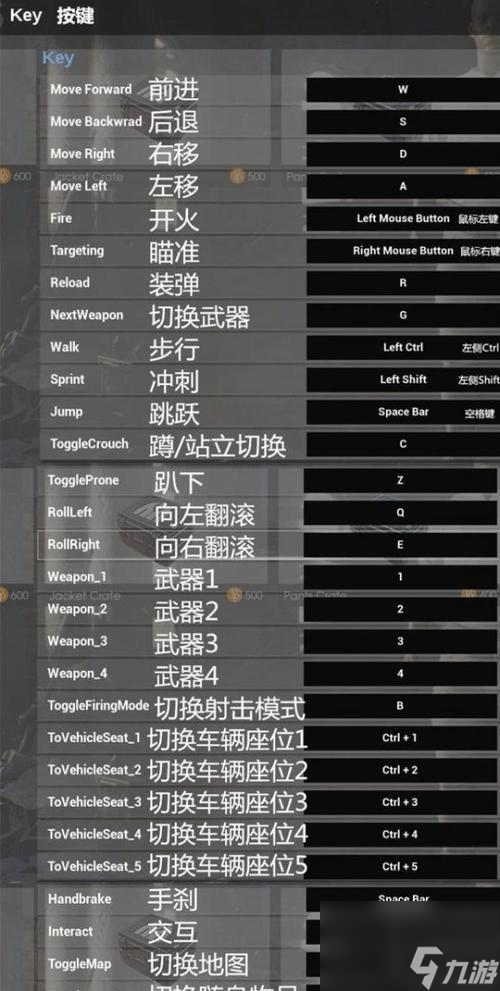 绝地求生（一起来掌握吃鸡的技巧）