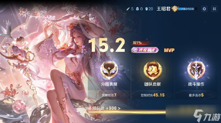 王昭君紫标战绩代表什么水平？