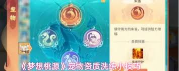 梦想桃源如何洗练宠物资质