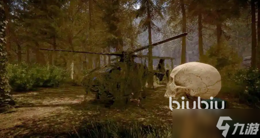 森林之子加速器如何选择 性价比高的森林之子加速器推荐一览