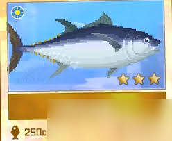 潜水员戴夫怎么获取金枪鱼渔网