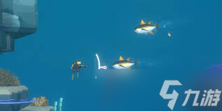 潜水员戴夫如何获取金枪鱼渔网