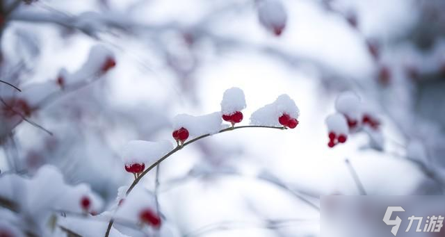 “2026年景好不好，就看冬月初一”，明日冬月初一，有啥说法？