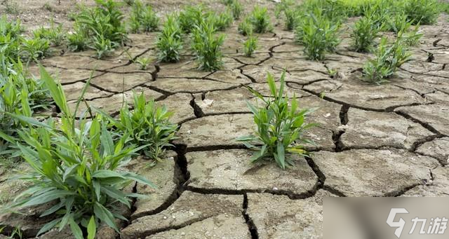 “2026年景好不好，就看冬月初一”，明日冬月初一，有啥说法？