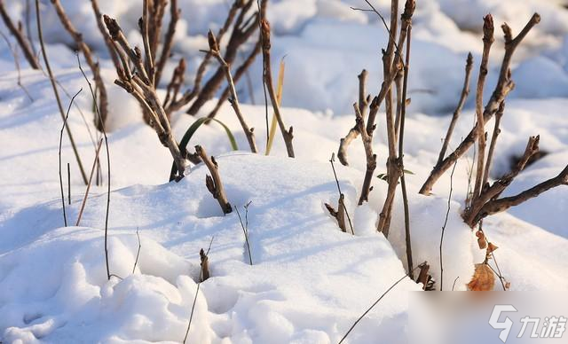 “2026年景好不好，就看冬月初一”，明日冬月初一，有啥说法？