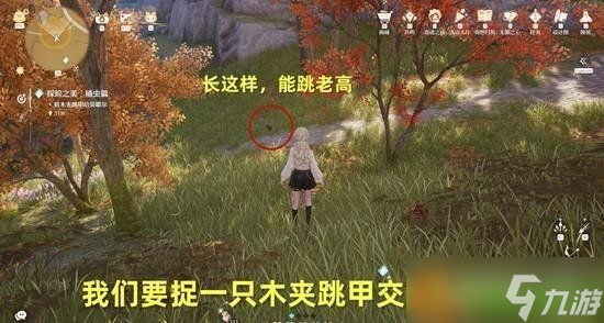 无限暖暖探险之美捕虫篇怎么完成 探险之美捕虫篇攻略一览