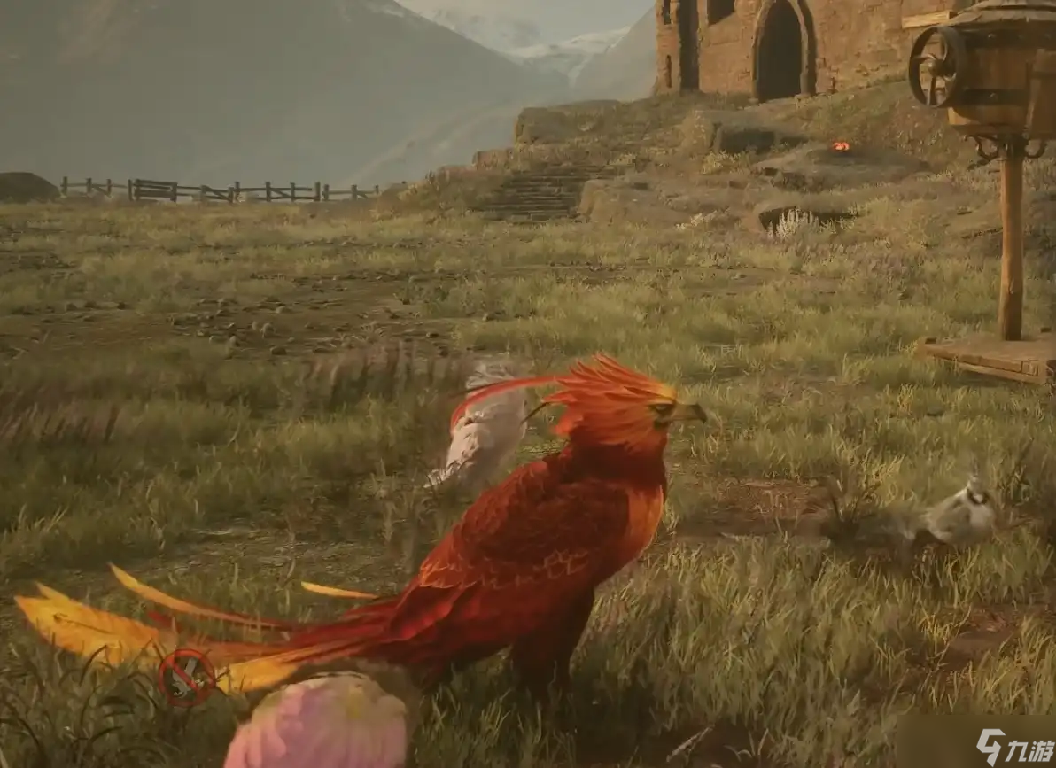 霍格沃茨之遗13种神奇动物捕捉技巧