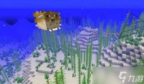 怎么在《我的世界》中获取河豚 全面捕捉与使用指南