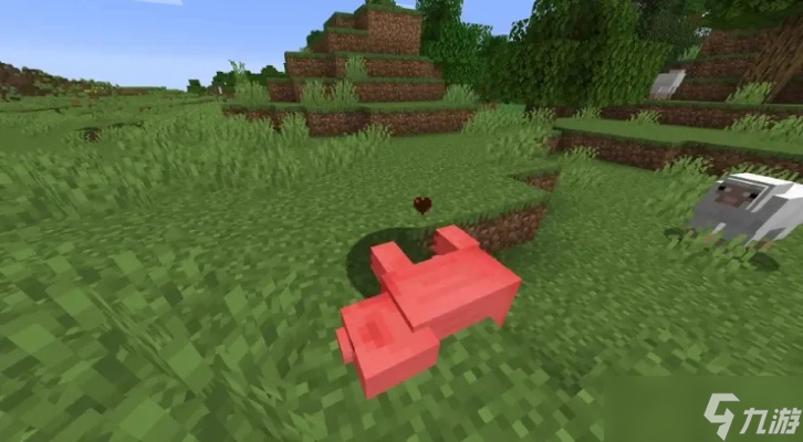 怎么在《我的世界》中玩饥饿游戏 全面生存技巧与机制解析