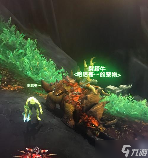 魔兽裂蹄牛分布在哪些区域?