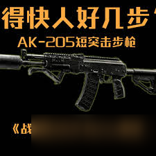 战地6 AK205步枪有什么特点