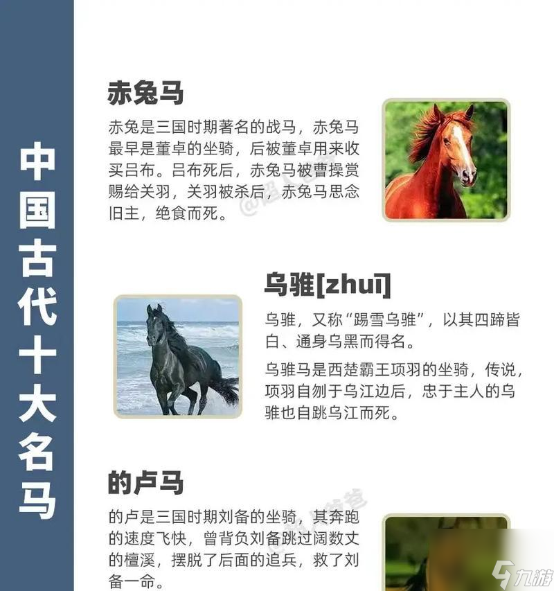 《武侠游戏中不同种类马匹的区别及效果介绍》（选择合适的坐骑）