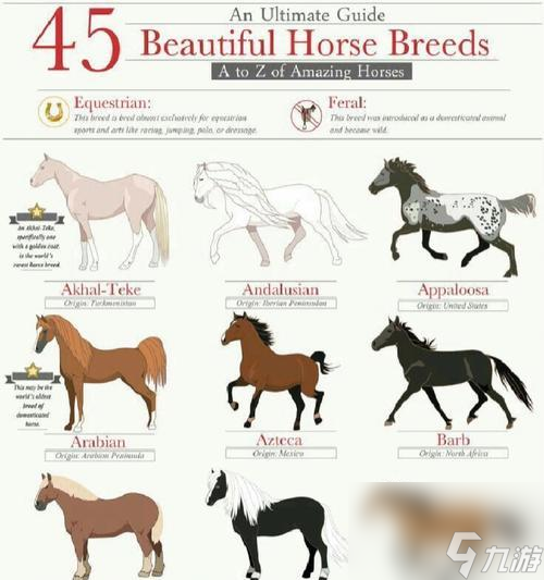 《武侠游戏中不同种类马匹的区别及效果介绍》（选择合适的坐骑）