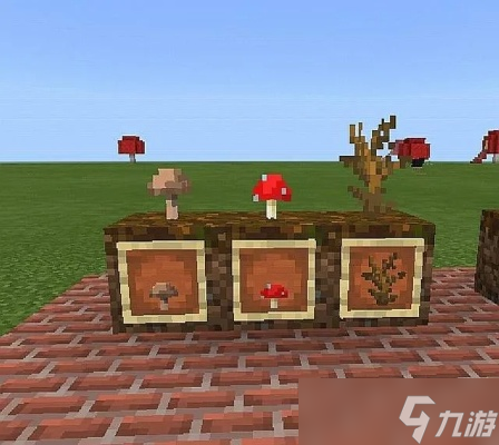 怎么在《我的世界》中制作植物 植物种植与培育终极指南