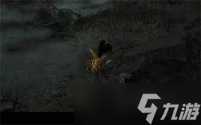 明末渊虚之羽望山村女眷支线任务怎么做截图