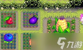 星露谷物语怎么种巨大作物