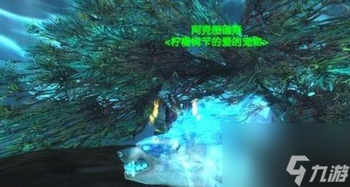 魔兽世界80级熊宠物捕捉地点在哪？