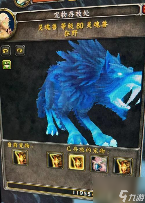 魔兽正式服生命精华的获取地点有哪些？