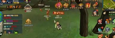 武林外传十年之约新手怎么加点