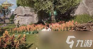 怪物猎人旅人冰原叠石冥想怎么玩