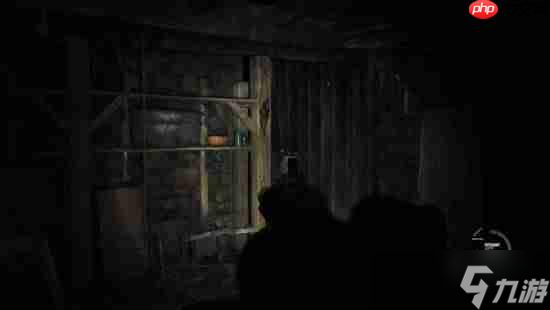 《生化危机4：重制版》变COD？大神制作第一人称mod 全武器瞄具