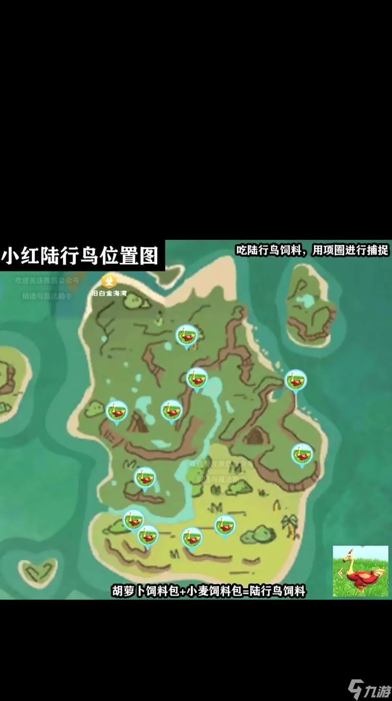 鸭子哪里抓魔兽世界？捕捉方法和地点是什么？