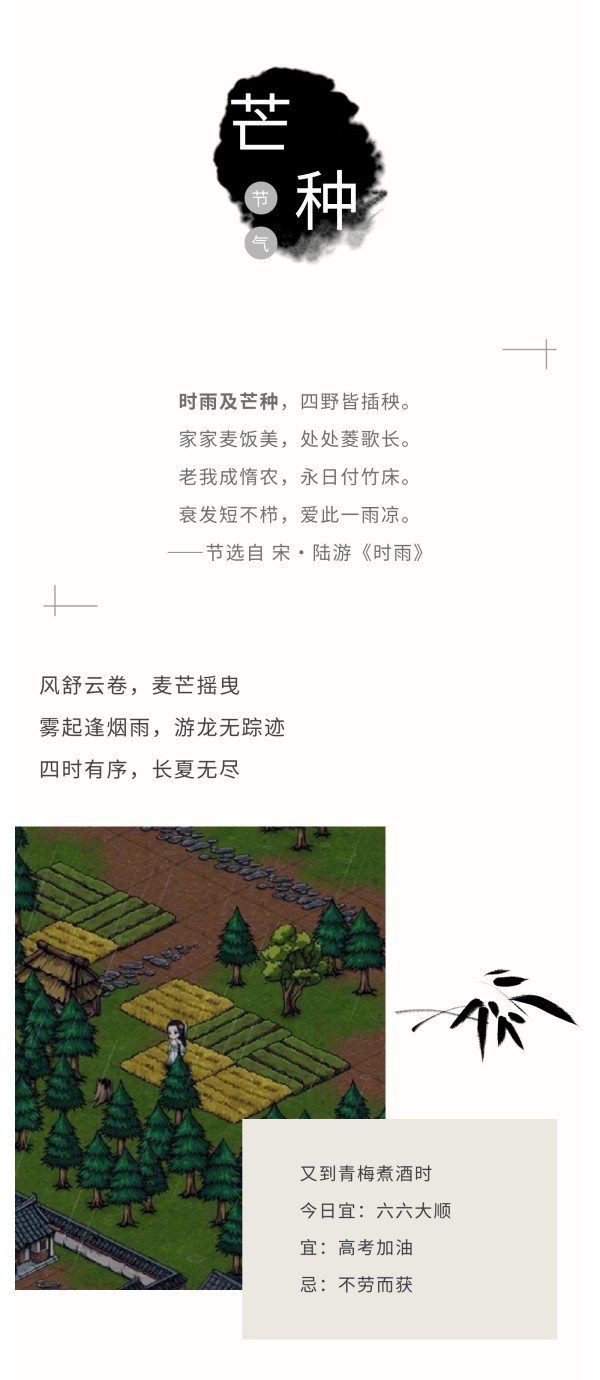 《烟雨江湖》「芒种」时雨及芒种 四野皆插秧